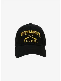 Movies Harry Potter Hufflepuff Alumni Cap - BoxLunch Exclusive